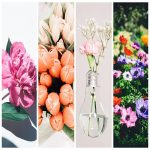 Dịch vụ kế toán thuế tại Quận 2 6 Tìm dịch vụ kế toán thuế