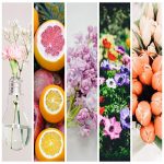 Dịch vụ kế toán thuế tại Thừa Thiên Huế 6 Tìm dịch vụ kế toán thuế tại Thừa Thiên Huế