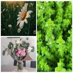 Dịch vụ kế toán thuế tại Yên Bái 6 Tìm dịch vụ kế toán thuế tại Yên Bái