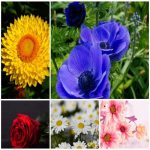 Dịch vụ làm phù hiệu xe tải tại Hòa Bình 6 Tìm xin giấy phép phù hiệu xe tải tại Hòa Bình