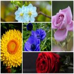 Dịch vụ làm phù hiệu xe tải tại Quận Tân Bình 6 Tìm xin giấy phép phù hiệu xe tải tại Quận Tân Bình