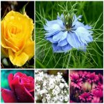 Dịch vụ làm phù hiệu xe tải tại Quảng Nam 6 Tìm xin giấy phép phù hiệu xe tải tại Quảng Nam