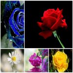 Dịch vụ làm phù hiệu xe tải tại Thành phố Hồ Chí Minh 6 Tìm xin giấy phép phù hiệu xe tải tại Thành phố Hồ Chí Minh