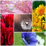 Dịch vụ làm phù hiệu xe tải tại Yên Bái 6 Tìm xin giấy phép phù hiệu xe tải tại Yên Bái