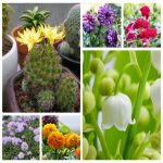 Dịch vụ thay đổi tên công ty tại Cần Thơ 6 Muốn thay đổi tên công ty tại Cần Thơ