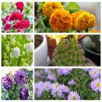 Dịch vụ thay đổi tên công ty tại Quận Ninh Kiều 6 Muốn thay đổi tên công ty tại Quận Ninh Kiều