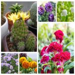 Muốn thay đổi tên công ty tại Thành Phố Hải Phòng