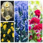 Xin giấy phép hộ kinh doanh tại Quận 12 như thế nào? Hướng dẫn chi tiết từ A-Z 6 thành lập hộ kinh doanh tại Quận 12