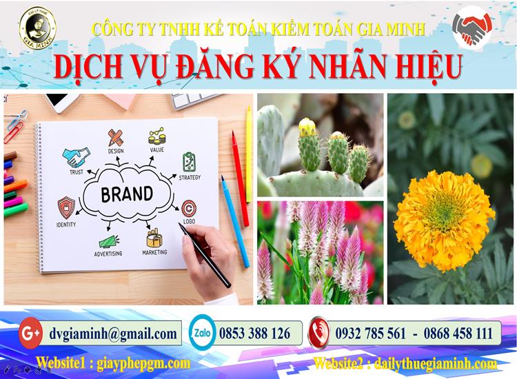 Đăng ký bảo hộ nhãn hiệu tại TPHCM 4 Thủ tục đăng ký bảo hộ nhãn hiệu TPHCM