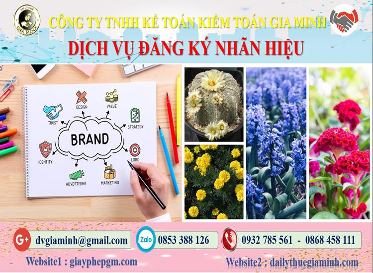 Dịch vụ đăng ký bảo hộ nhãn hiệu tại An Giang 4 Thủ tục đăng ký bảo hộ nhãn hiệu tại An Giang