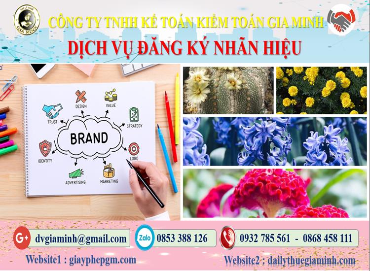 Dịch vụ đăng ký bảo hộ nhãn hiệu tại Bình Định 4 Thủ tục đăng ký bảo hộ nhãn hiệu tại Bình Định
