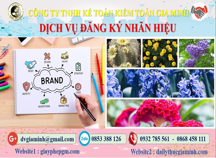 Dịch vụ đăng ký bảo hộ nhãn hiệu tại Cần Thơ 4 Thủ tục đăng ký bảo hộ nhãn hiệu tại Cần Thơ