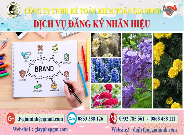 Dịch vụ đăng ký bảo hộ nhãn hiệu tại Đà Nẵng 4 Thủ tục đăng ký bảo hộ nhãn hiệu tại Đà Nẵng