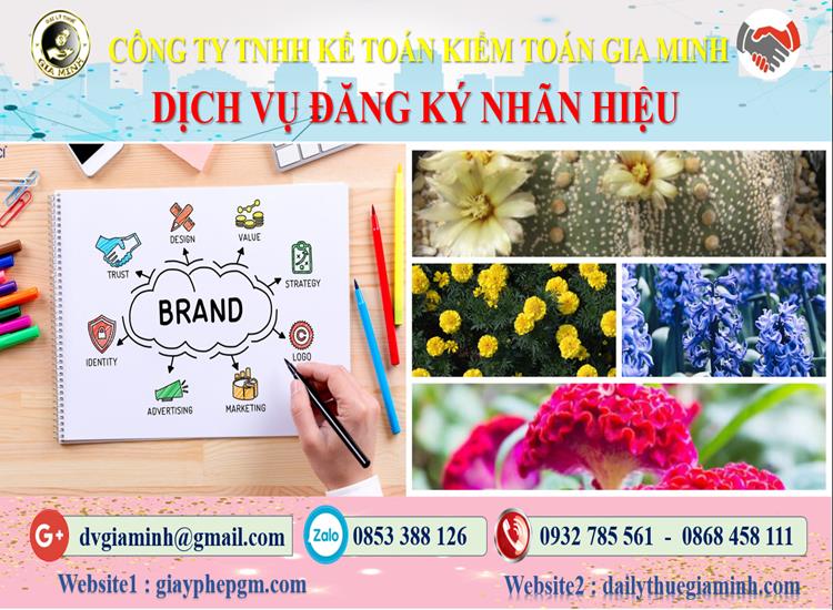 Dịch vụ đăng ký bảo hộ nhãn hiệu tại Điện Biên 4 Thủ tục đăng ký bảo hộ nhãn hiệu tại Điện Biên