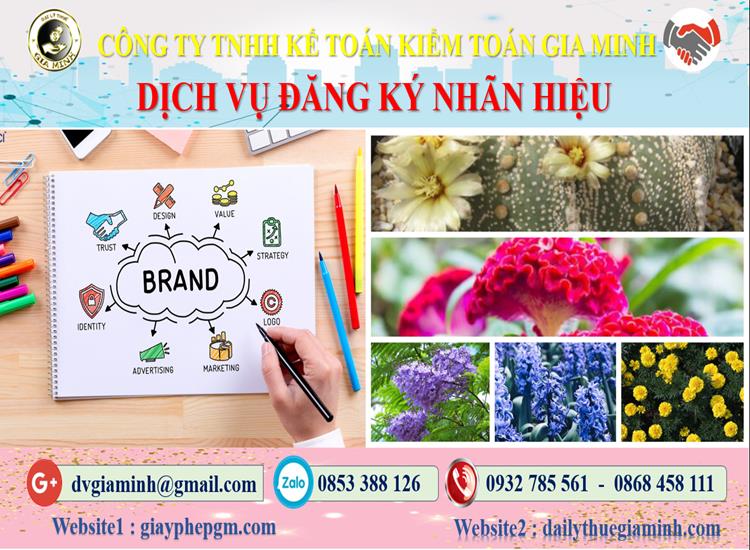 Dịch vụ đăng ký bảo hộ nhãn hiệu tại Hải Phòng 4 Thủ tục đăng ký bảo hộ nhãn hiệu tại Hải Phòng