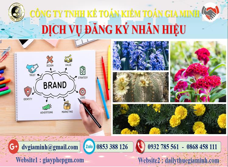 Dịch vụ đăng ký bảo hộ nhãn hiệu tại Hậu Giang 4 Thủ tục đăng ký bảo hộ nhãn hiệu tại Hậu Giang