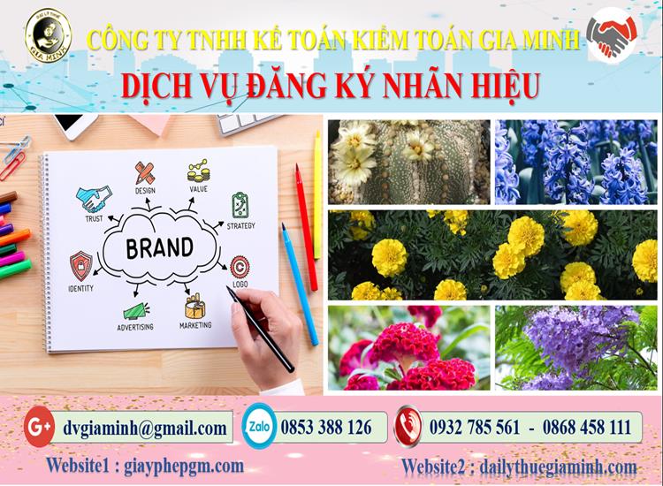 Dịch vụ đăng ký bảo hộ nhãn hiệu tại Huế 4 Thủ tục đăng ký bảo hộ nhãn hiệu tại Huế