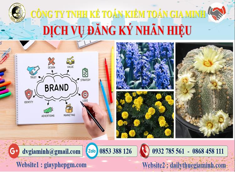 Dịch vụ đăng ký bảo hộ nhãn hiệu tại Huyện Củ Chi 4 Thủ tục đăng ký bảo hộ nhãn hiệu tại Huyện Củ Chi