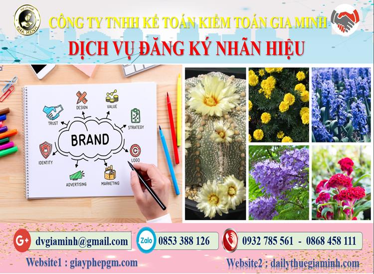 Dịch vụ đăng ký bảo hộ nhãn hiệu tại Nha Trang 4 Thủ tục đăng ký bảo hộ nhãn hiệu tại Nha Trang