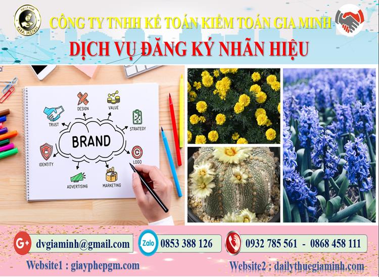 Dịch vụ đăng ký bảo hộ nhãn hiệu tại Quận 1 4 Thủ tục đăng ký bảo hộ nhãn hiệu tại Quận 1