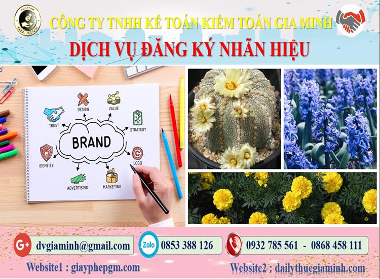 Dịch vụ đăng ký bảo hộ nhãn hiệu tại Quận 12 4 Thủ tục đăng ký bảo hộ nhãn hiệu tại Quận 12