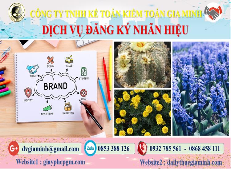 Dịch vụ đăng ký bảo hộ nhãn hiệu tại Quận 2 4 Thủ tục đăng ký bảo hộ nhãn hiệu tại Quận 2