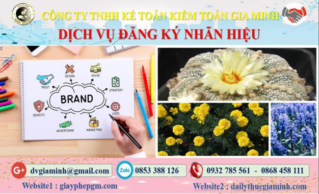 Thủ tục đăng ký bảo hộ nhãn hiệu tại Quận 3