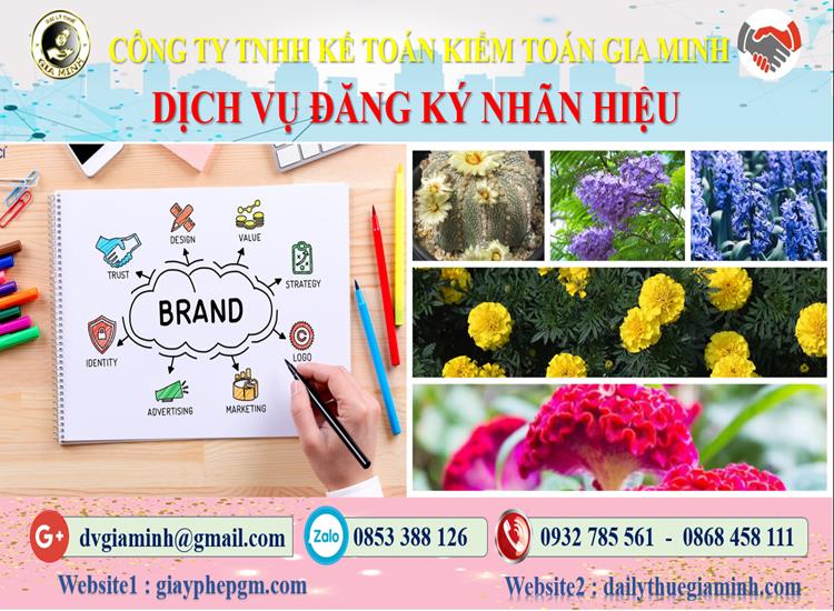 Thủ tục đăng ký bảo hộ nhãn hiệu tại Thành Phố Cần Thơ