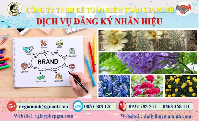 Thủ tục đăng ký bảo hộ nhãn hiệu tại Thành Phố Hải Phòng