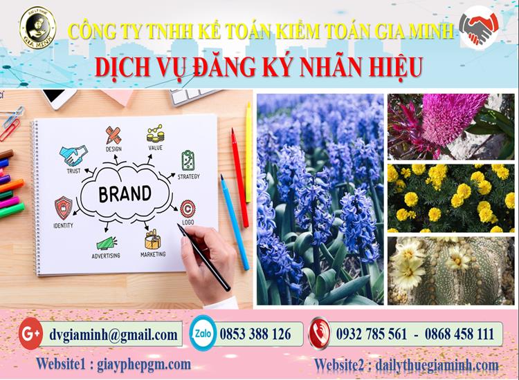 Dịch vụ đăng ký bảo hộ nhãn hiệu tại Thành Phố Hồ Chí Minh 4 Thủ tục đăng ký bảo hộ nhãn hiệu tại Thành Phố Hồ Chí Minh