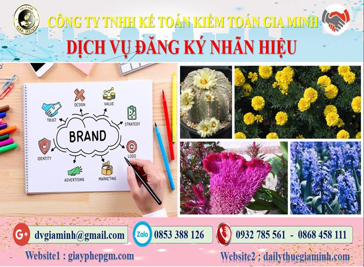 Thủ tục đăng ký bảo hộ nhãn hiệu tại TP Hà Nội