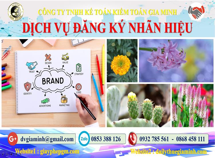 Trình tự đăng ký bảo hộ nhãn hiệu tại TPHCM