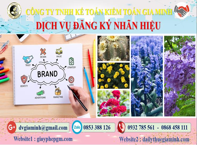Thủ tục đăng ký bảo hộ nhãn hiệu tại Vũng Tàu