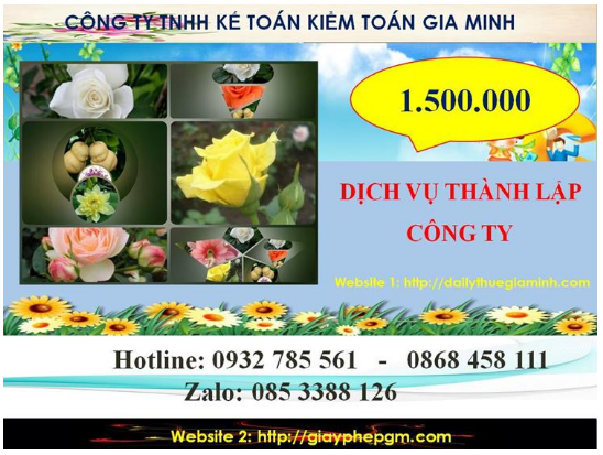 Chi phí dịch vụ thành lập chi nhánh công ty tại Việt Nam