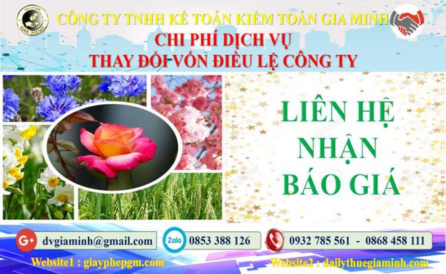 Chi phí thay đổi vốn điều lệ công ty tại Huyện Ba Vì