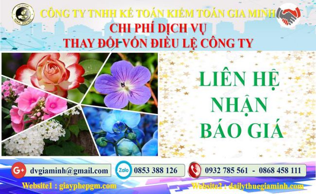 Dịch vụ thay đổi vốn điều lệ công ty tại Huyện Củ Chi 5 Chi phí thay đổi vốn điều lệ công ty tại Huyện Củ Chi