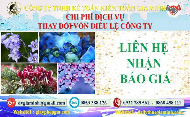 Dịch vụ thay đổi vốn điều lệ công ty tại Huyện Đan Phượng 5 Chi phí thay đổi vốn điều lệ công ty tại Huyện Đan Phượng