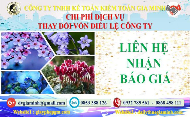 Dịch vụ thay đổi vốn điều lệ công ty tại Huyện Hoài Đức 5 Chi phí thay đổi vốn điều lệ công ty tại Huyện Hoài Đức