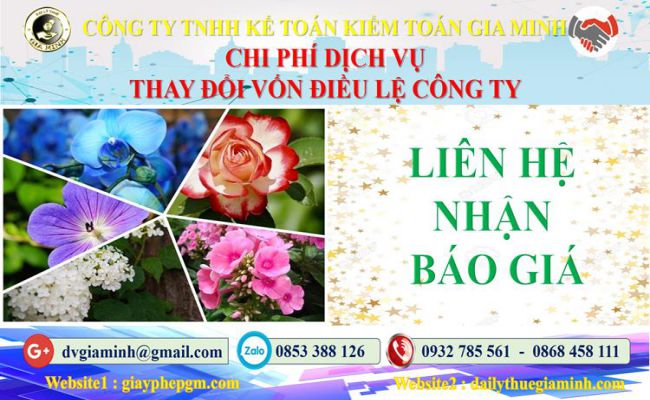 Dịch vụ thay đổi vốn điều lệ công ty tại Huyện Mỹ Đức 5 Chi phí thay đổi vốn điều lệ công ty tại Huyện Mỹ Đức