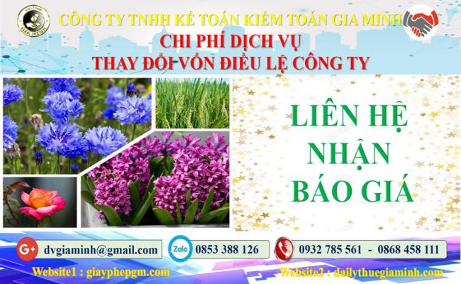 Dịch vụ thay đổi vốn điều lệ công ty tại Huyện Phú Xuyên 5 Chi phí thay đổi vốn điều lệ công ty tại Huyện Phú Xuyên
