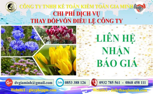 Dịch vụ thay đổi vốn điều lệ công ty tại Huyện Phúc Thọ 5 Chi phí thay đổi vốn điều lệ công ty tại Huyện Phúc Thọ