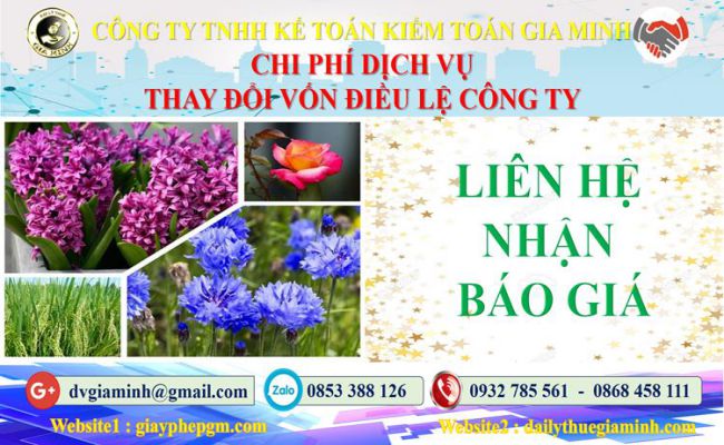 Chi phí thay đổi vốn điều lệ công ty tại Quận 8