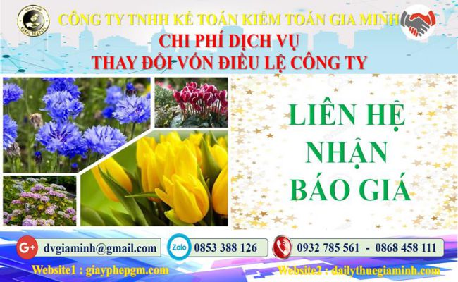 Dịch vụ thay đổi vốn điều lệ công ty tại Quận Bình Thạnh 5 Chi phí thay đổi vốn điều lệ công ty tại Quận Bình Thạnh