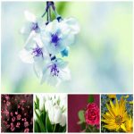 Muốn dịch vụ cấp chứng chỉ năng lực xây dựng hạng 1,2,3 uy tín
