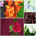Dịch vụ kế toán cho doanh nghiệp vừa và nhỏ 1 Muốn dịch vụ kế toán cho doanh nghiệp vừa và nhỏ