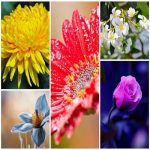 Thành lập doanh nghiệp 100% vốn nước ngoài tại Việt Nam – Hướng dẫn chi tiết thủ tục mới nhất 2025 8 DOANH NGHIỆP 100% VỐN NƯỚC NGOÀI LÀ GÌ? ĐẶC ĐIỂM CỦA DOANH NGHIỆP 100% VỐN NƯỚC NGOÀI MỚI NHẤT