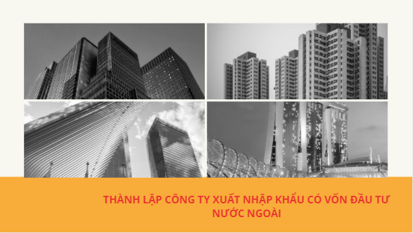 Thành lập công ty xuất nhập khẩu có vốn đầu tư nước ngoài tại Việt Nam từ A đến Z 9 Thành lập công ty xuất nhập khẩu có vốn đầu tư nước ngoài