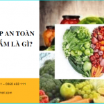 Giấy phép an toàn thực phẩm là gì? Quy định, Thủ tục và Cơ quan cấp giấy phép 18 Hướng dẫn xin giấy phép an toàn thực phẩm là gì?