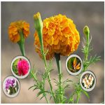 Dịch vụ thay đổi vốn điều lệ công ty tại Quận Bình Thạnh 6 Cần Dịch vụ thay đổi vốn điều lệ công ty tại Quận Bình Thạnh