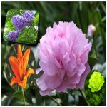 Dịch vụ xin giấy phép xây dựng tại Bến Tre 6 Cần dịch vụ xin giấy phép xây dựng Bến Tre